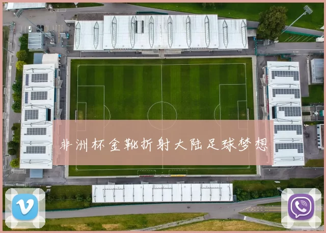 非洲杯金靴折射大陆足球梦想