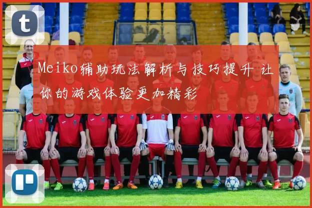 Meiko辅助玩法解析与技巧提升 让你的游戏体验更加精彩
