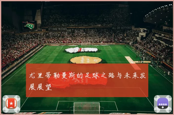 尤里蒂勒曼斯的足球之路与未来发展展望
