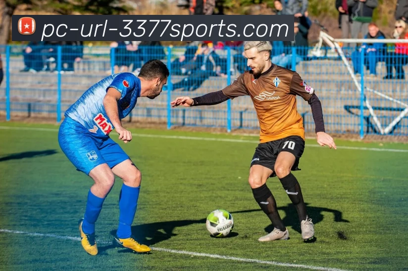 3377体育发展历程